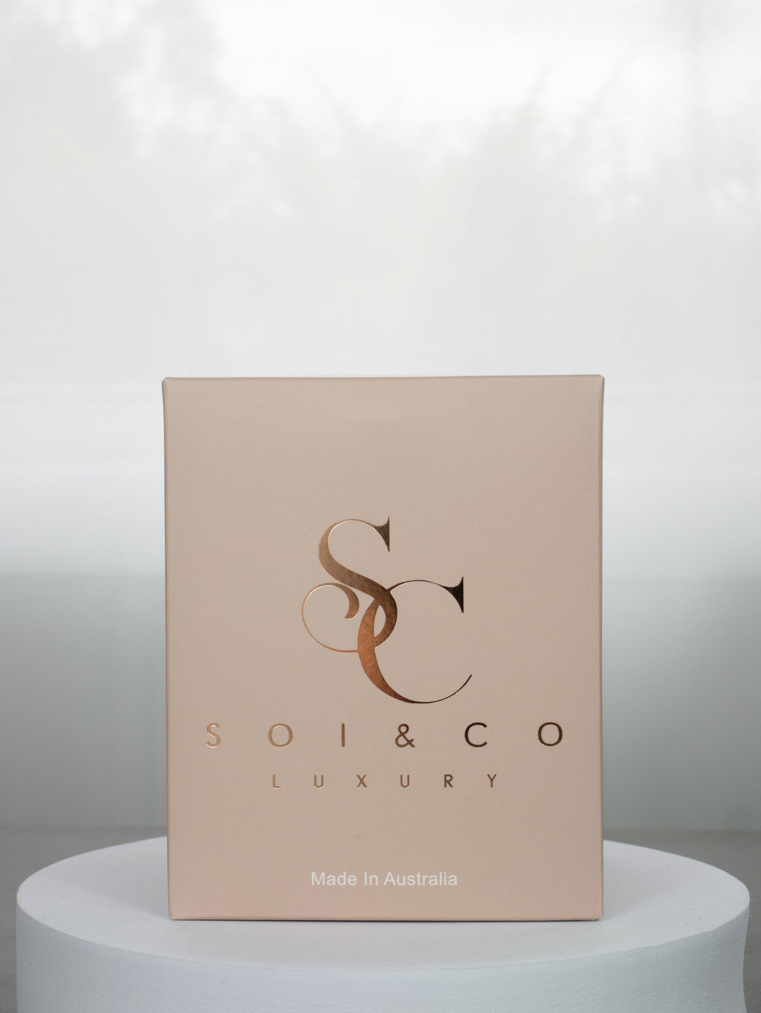 FROSTED CANDLE - VANILLA CARAMEL